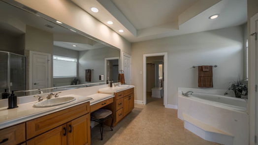 League City 1-story, 4-bed 3909 Olympia Springs Drive-idx
