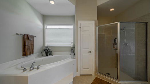 League City 1-story, 4-bed 3909 Olympia Springs Drive-idx