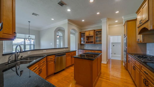 League City 1-story, 4-bed 3909 Olympia Springs Drive-idx