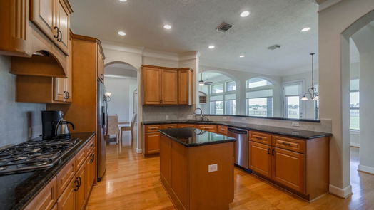 League City 1-story, 4-bed 3909 Olympia Springs Drive-idx