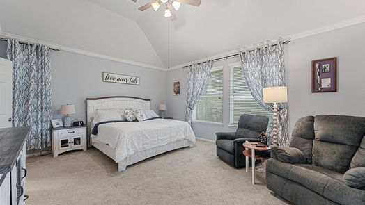 League City null-story, 4-bed 2509 Muricia Drive-idx