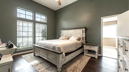 League City null-story, 4-bed 1306 Carefree Drive-idx