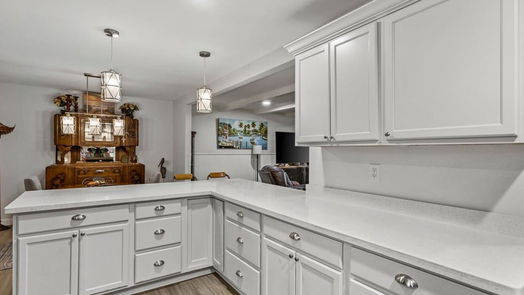 League City null-story, 3-bed 211 S Iowa Avenue-idx