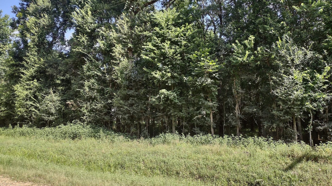 Liberty null-story, null-bed 00 County Road 2500-idx
