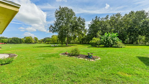 Manvel 2-story, 4-bed 7011 Cemetary Road-idx