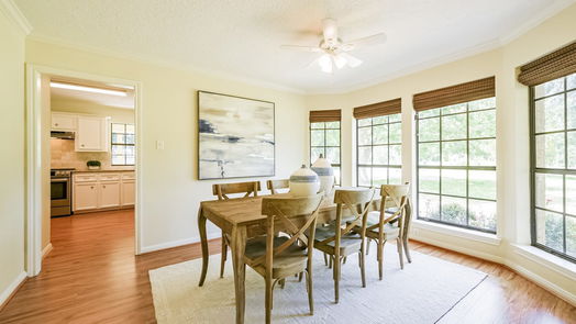 Manvel 2-story, 4-bed 7011 Cemetary Road-idx
