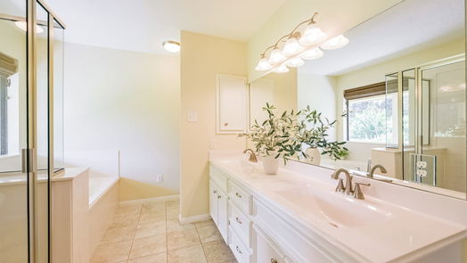 Manvel 2-story, 4-bed 7011 Cemetary Road-idx