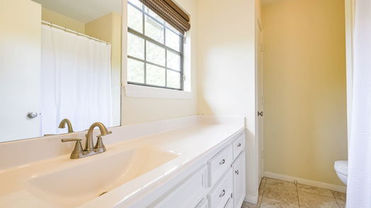 Manvel 2-story, 4-bed 7011 Cemetary Road-idx