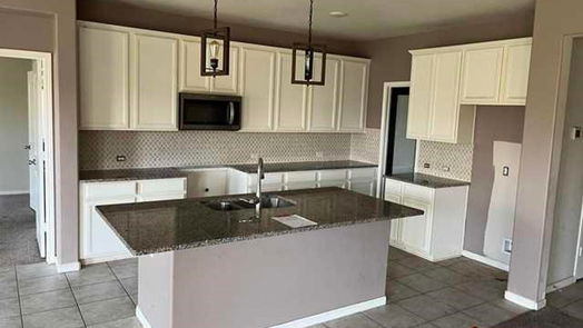 Manvel 1-story, 4-bed 19107 Shoreside Terrace Drive-idx
