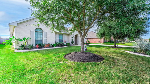 Manvel 1-story, 3-bed 6530 Sam Rayburn Drive-idx
