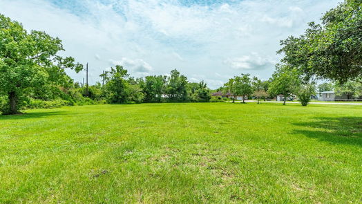 Manvel 1-story, 3-bed 9112 Harvest Acres Drive-idx