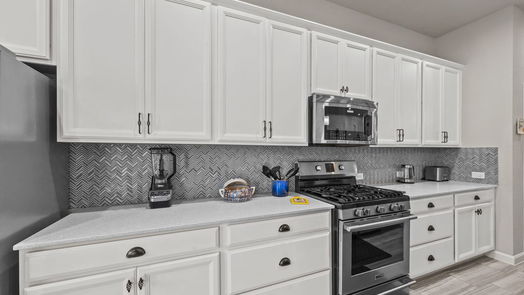 Manvel 1-story, 4-bed 2522 Redbud Trail Lane-idx