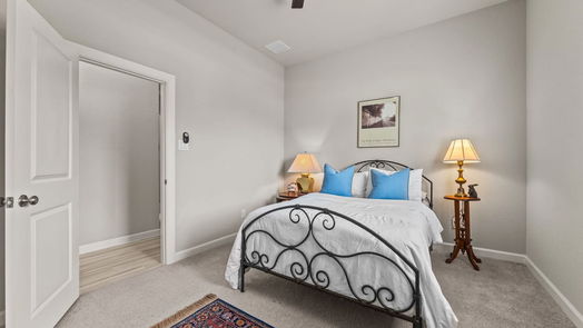 Manvel 1-story, 4-bed 2522 Redbud Trail Lane-idx