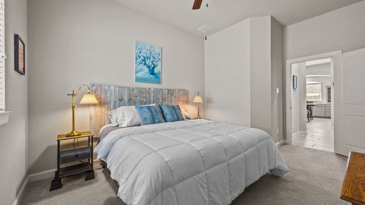 Manvel 1-story, 4-bed 2522 Redbud Trail Lane-idx