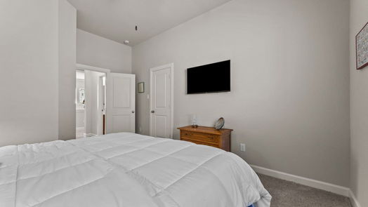 Manvel 1-story, 4-bed 2522 Redbud Trail Lane-idx