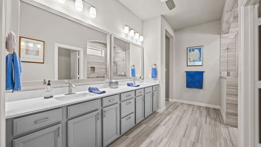 Manvel 1-story, 4-bed 2522 Redbud Trail Lane-idx