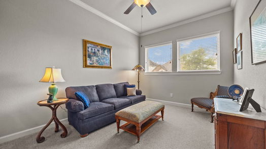 Manvel 1-story, 4-bed 2522 Redbud Trail Lane-idx