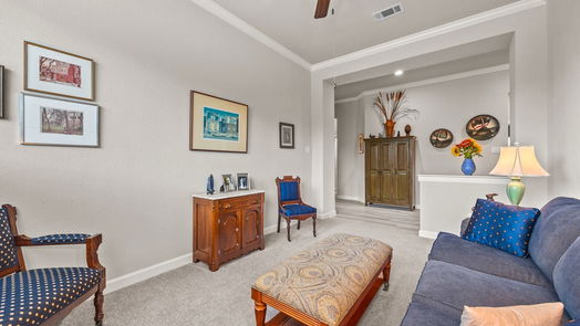 Manvel 1-story, 4-bed 2522 Redbud Trail Lane-idx
