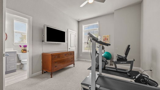 Manvel 1-story, 4-bed 2522 Redbud Trail Lane-idx