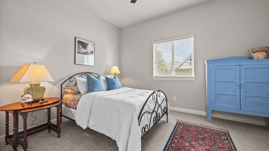 Manvel 1-story, 4-bed 2522 Redbud Trail Lane-idx