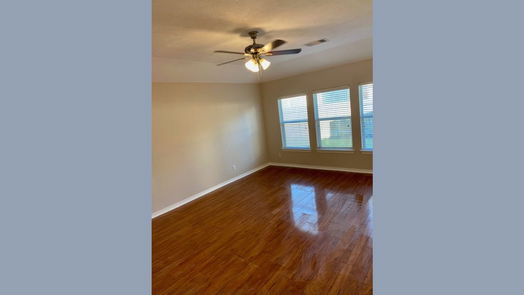 Manvel 1-story, 3-bed 13 Palmdale Lane-idx