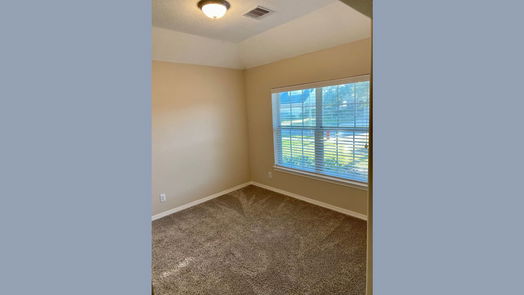 Manvel 1-story, 3-bed 13 Palmdale Lane-idx