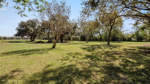 Manvel null-story, 3-bed 7145 Cemetary Road-idx