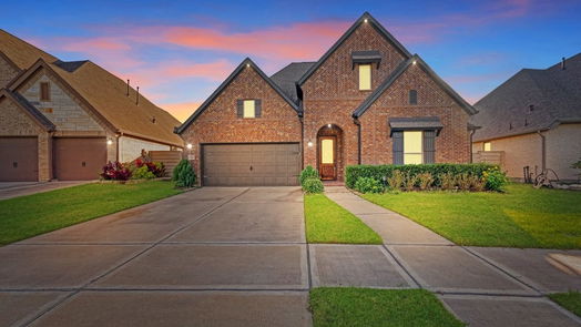 Manvel null-story, 3-bed 2110 Bayleaf Manor Drive-idx