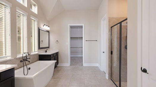 Manvel null-story, 3-bed 2110 Bayleaf Manor Drive-idx