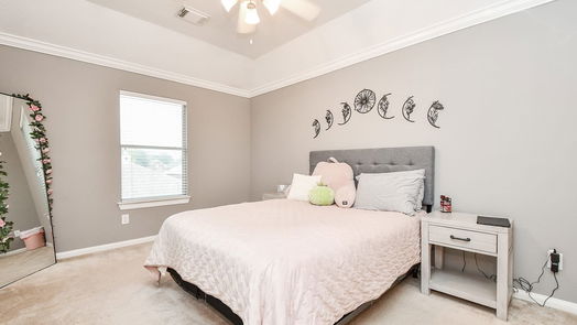 Pearland 2-story, 4-bed 2314 Da Vinci Drive-idx