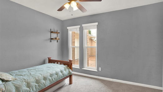 Pearland 1-story, 3-bed 2416 Meadow Green Drive-idx