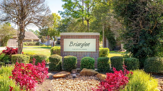 Pearland 2-story, 4-bed 2602 Briar View Drive-idx
