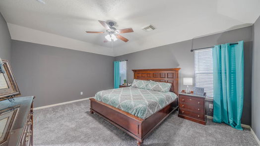 Pearland 1-story, 3-bed 1912 Plum Falls Lane-idx