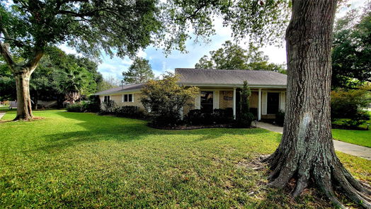 Pearland 1-story, 3-bed 1818 Cripple Creek Lane-idx