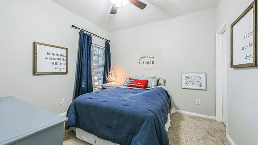 Pearland 1-story, 3-bed 2425 Piney Woods Drive-idx