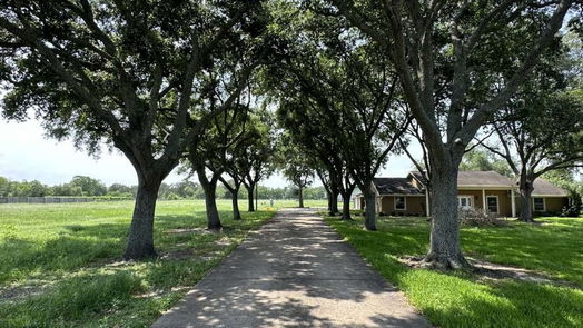 Pearland null-story, 4-bed 2323 Stevenson Road-idx