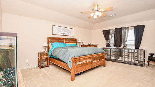 Pearland null-story, 3-bed 3008 Black Rock Lane-idx