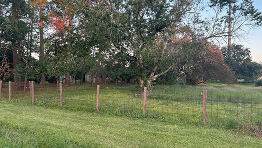 Pearland null-story, 4-bed 2438 County Road 391-idx