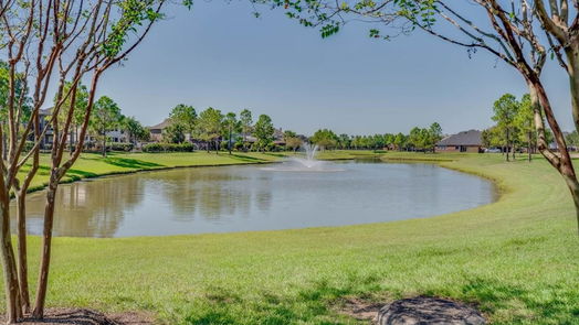 Pearland 2-story, 5-bed 1415 Laurel Leaf Lane-idx