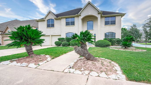 Pearland 2-story, 5-bed 2916 Eagle Lake Drive-idx