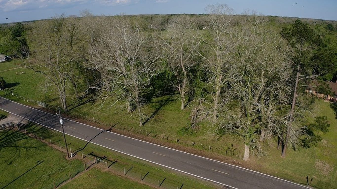 Brazoria null-story, null-bed 00 County Road 42-idx