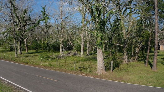 Brazoria null-story, null-bed 00 County Road 42-idx