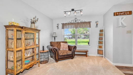 Iowa Colony 1-story, 3-bed 2510 County Road 62-idx