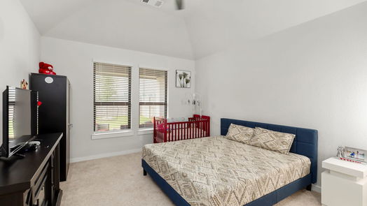 Iowa Colony 2-story, 4-bed 4110 Kinsey Street-idx