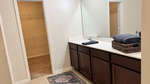 Iowa Colony 2-story, 4-bed 1207 Diamond Drape Drive-idx