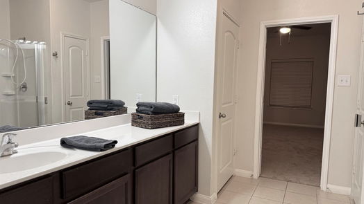 Iowa Colony 2-story, 4-bed 1207 Diamond Drape Drive-idx