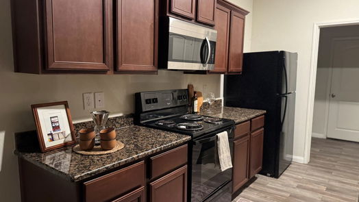 Iowa Colony 2-story, 4-bed 1207 Diamond Drape Drive-idx