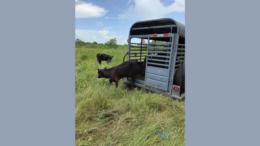 Rosharon null-story, null-bed 0 Country Road 57 And Hwy 288-idx