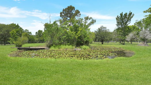 Rosharon 2-story, 4-bed 2750 Kingsley aka County Rd 48 Road-idx