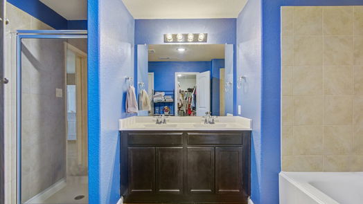 Rosharon 1-story, 4-bed 1807 Luminous Water Lane-idx